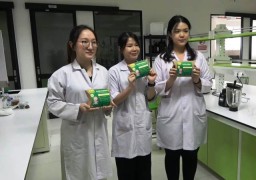 Popok Bayi Ramah Lingkungan dari Pelepah Pisang