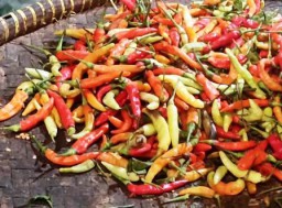 Harga Cabai Naik Tembus Rp130 Ribu per Kilogram