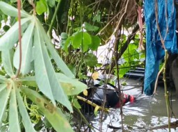 Siswi SMP Tenggelam di Sungai Medokan Semampir