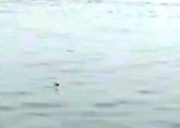 Menteri ATR/BPN Pastikan Tak Perpanjang SHGB di Laut Sidoarjo