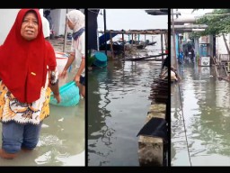 4 Hari Surabaya Banjir Rob