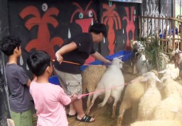 Dua Bocah SD di Surabaya Pecah Celengan Untuk Beli Hewan Kurban