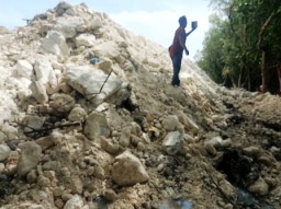 Menyoal Urugan Batu Kapur di Mangrove Kalianak Surabaya