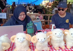 Lapak Kurban Tarik Pembeli dengan Bonus Boneka Domba