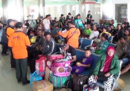 519 Pengungsi Wamena Tiba Di Surabaya