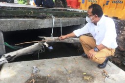 AH Thony Menyoal Pemasangan Kabel FO