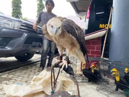 Perdagangan Burung Langka Samarinda Digagalkan