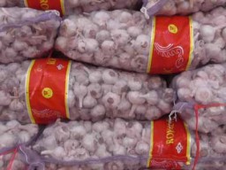 Negara Rugi Hingga 5,2 Triliun Akibat Permainan Harga Bawang Putih