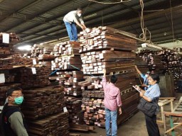 Bos Kayu Kepulauan Aru Ditangkap KLHK