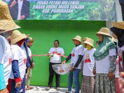 Orang Muda Ganjar Beri Pelatihan Budidaya Tembakau di Pamekasan