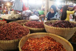 Harga Mahal, Warga Beralih Beli Cabai Kering Campuran