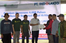 PT Indolakto Tanam 4000 Pohon di Lereng Gunung