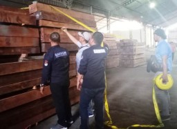 KLHK Amankan 17 Kontainer Kayu Ilegal di Surabaya