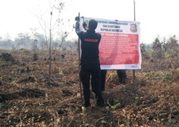 KLHK Segel 3 Lokasi Lahan Hutan Terbakar 200 Ha