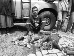 Pemburu Taman Nasional Way Kambas Ditangkap