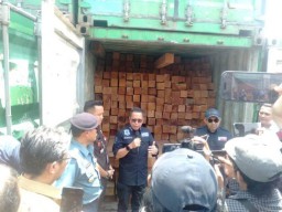 Kapal PT SPIL Angkut 55 Kontainer Kayu Ilegal