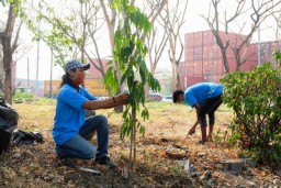 Kolaborasi PT Pelindo 3 Hijaukan Pelabuhan