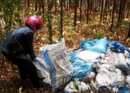 Limbah yang Dibuang ke Hutan Diambil PT Indolakto