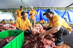 PT Pelindo III Kurban 143 Sapi dan 201 Kambing
