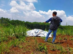Pembuang Limbah Ngawur Dapat Izin DLH Pasuruan?