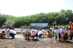 Pelindo Tanam 85 Ribu Bibit Mangrove di Probolinggo