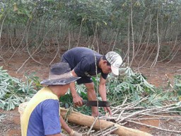 Petani di Lampung Keluhkan Kelangkaan Pupuk