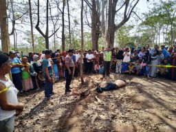 Sales Motor Asal Dayurejo Tewas di Kejayan