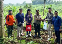 Satoria Grup Tanam Pinus di Lahan Gundul Pasuruan