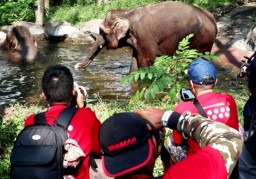 TSI Prigen Adakan Lomba Roadshow IAPVC 2023
