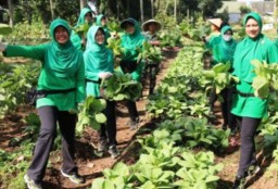 Sludge Indolakto Suburkan Tanaman Batalyon Armed