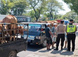 Tambaksari Antisipasi Hewan PMK Jelang Idul Adha