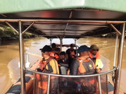 Warga Kalimantan Utara Diterkam Buaya Meningkat