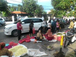 Harga Kembang Musiman Ceng Beng Rp 75 Ribu