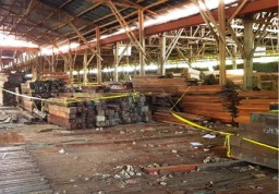 Praperadilan Tersangka Kayu Ilegal Papua Ditolak