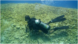 Perusak Terumbu Karang Belitung Didenda Rp 35,4 M