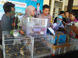 Polres Tanjung Perak Amankan 400 Burung Manyar