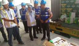 Tim Satgas Pangan Datangi Teluk Lamong