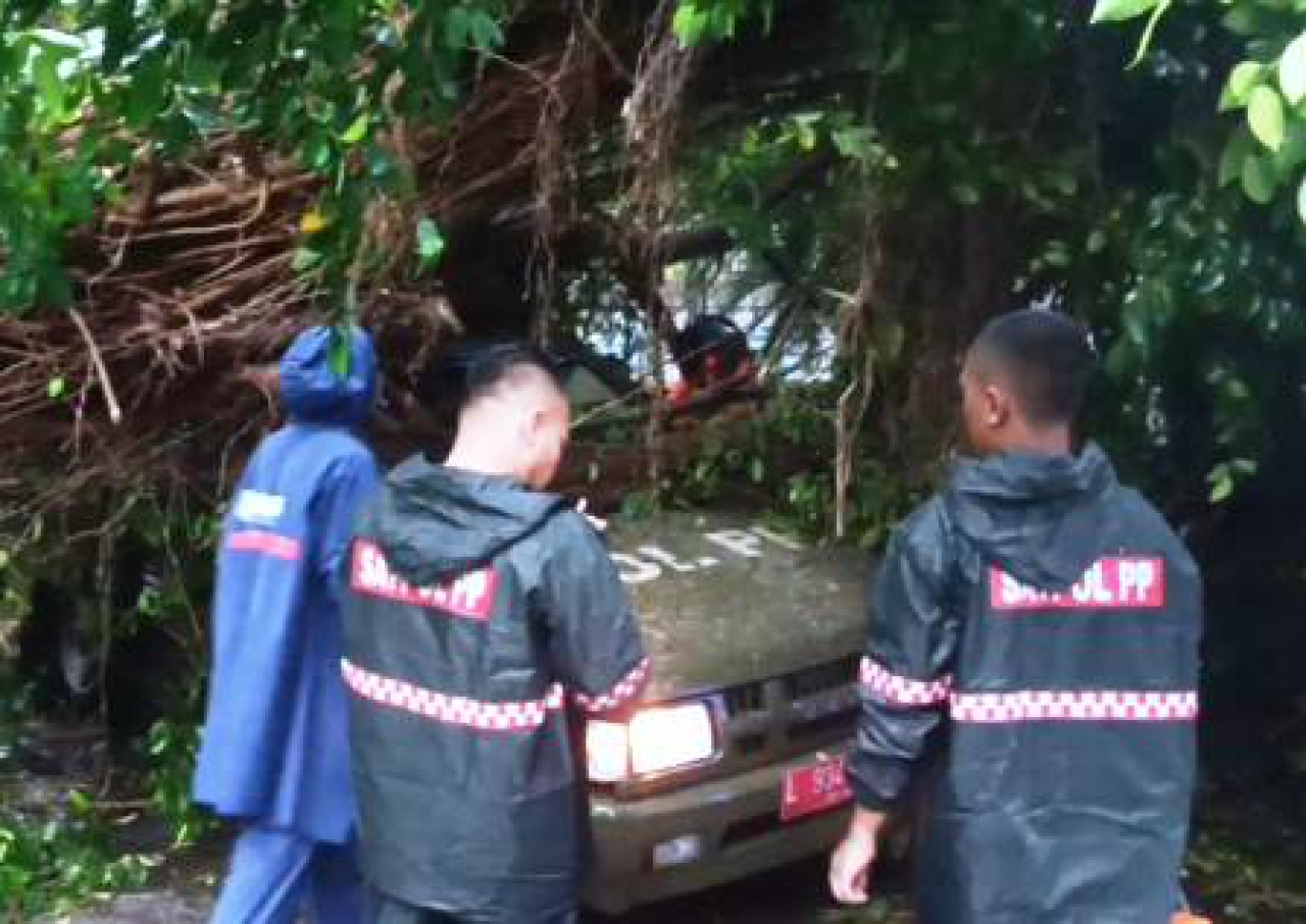 Mobil Satpol PP Kota Surabaya tertimpa pohon beringin.