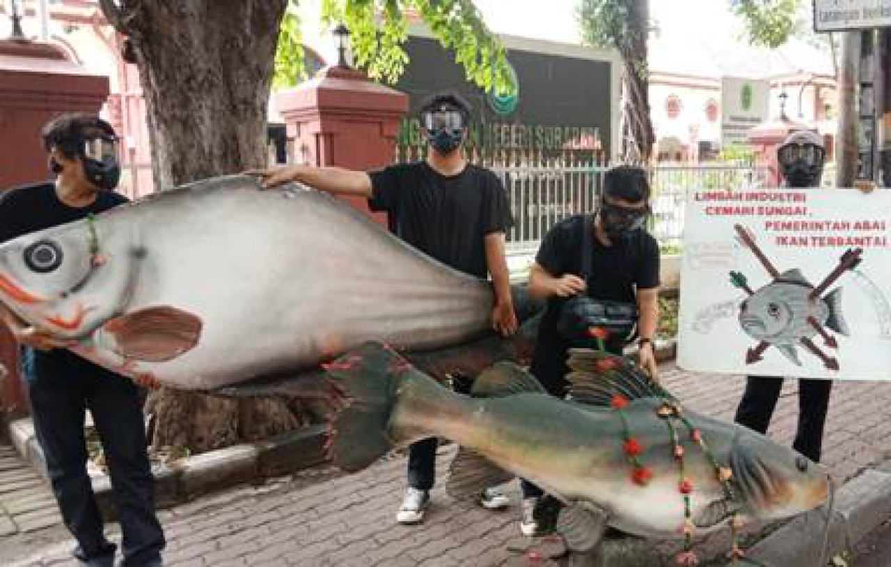 KOPIPA Usung Bangkai Ikan Ke Pengadilan Negeri Surabaya