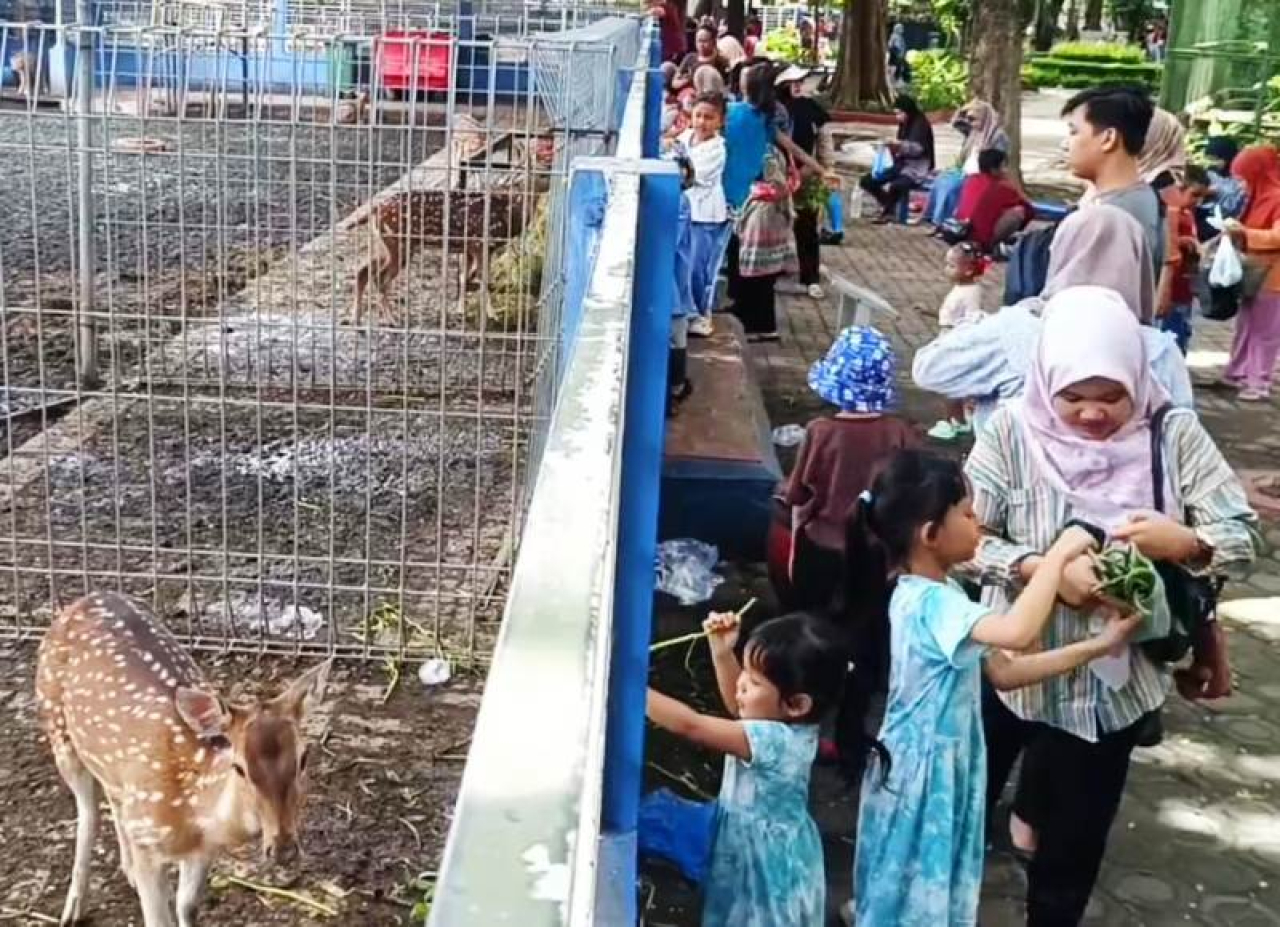 Libur Sekolah, Taman Flora Surabaya Favorit Wisata Keluarga
