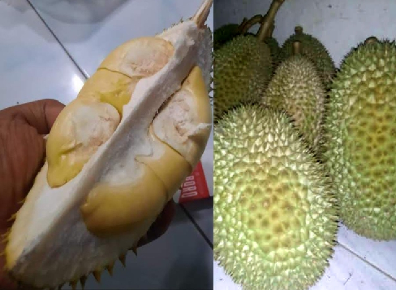 Buah Durian.