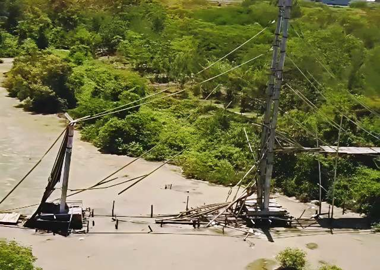 Jembatan bambu wisata mangrove Surabaya/istimewa.