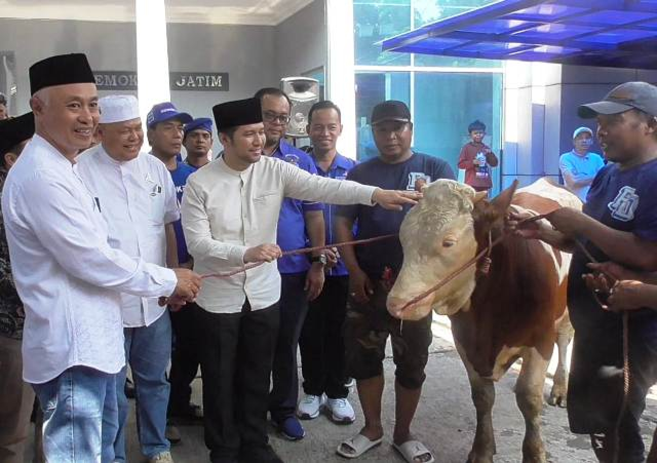 DPD Partai Demokrat Jatim Kurban 6 Sapi dan 8 Kambing