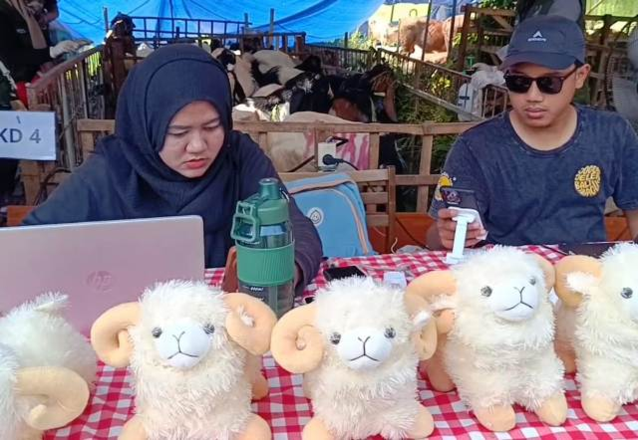Lapak Kurban Tarik Pembeli dengan Bonus Boneka Domba