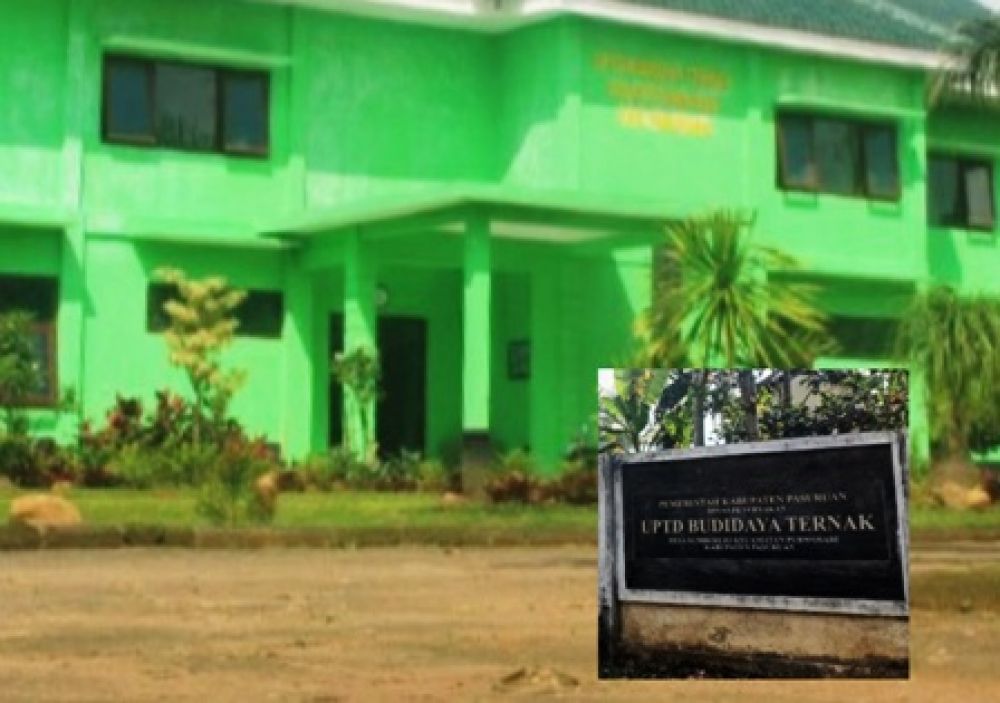 UPTD Peternakan Pasuruan Disebut tak Bermanfaat