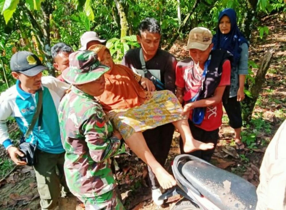 Disenggol Belalai Gajah, Nenek di Lampung Cidera