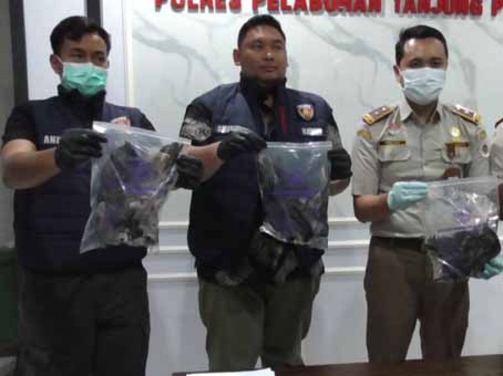 Burung Gagak Hitam untuk Guna-guna Gagal Dikirim