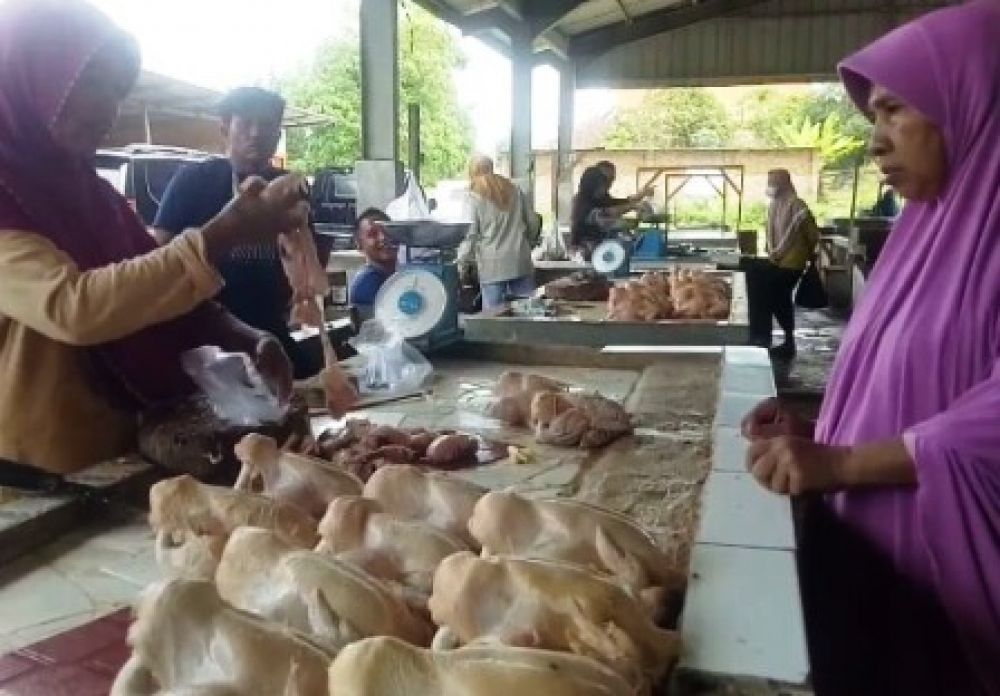 Harga Ayam Potong di Lampung Rp 65 Ribu Per Ekor