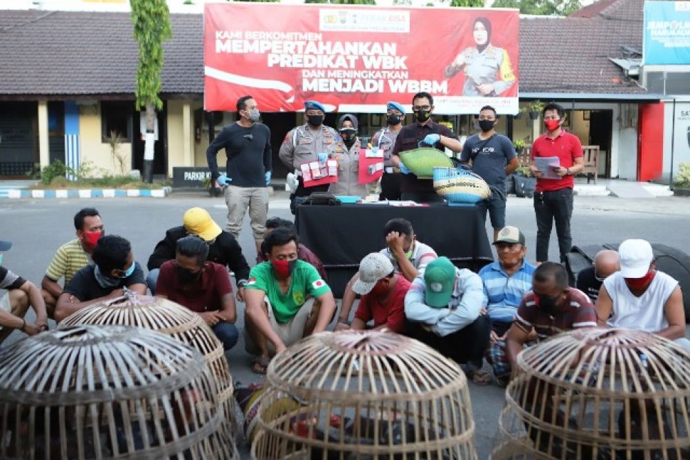 Barang Bukti Judi Ayam Tenggumung Rp 6 Juta