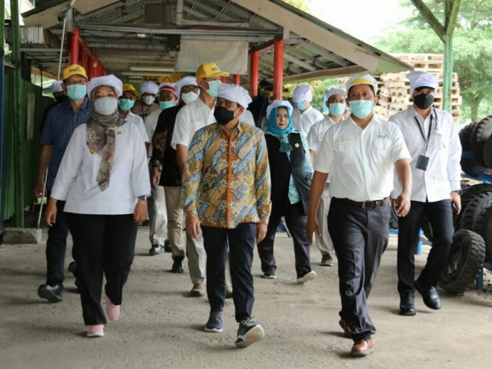 Menteri Menteri Desa, Pembangunan Daerah Tertinggal dan Transmigrasi (PDTT), Abdul Halim Iskandar dan Wakil Gubernur Lampung Chusnunia Chalim Kunjungi Pabrik pengolahan Nanas (PT. Great Giant Pineapple) di Kabupaten Lampung Tengah, Provinsi Lampung Lampun